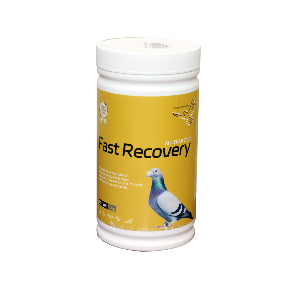 Fast Recovery فاست ريكافري